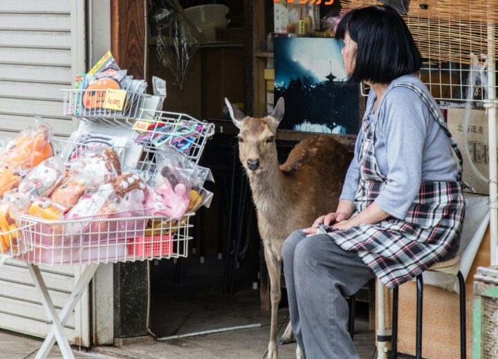 街の挑戦を応援しています。